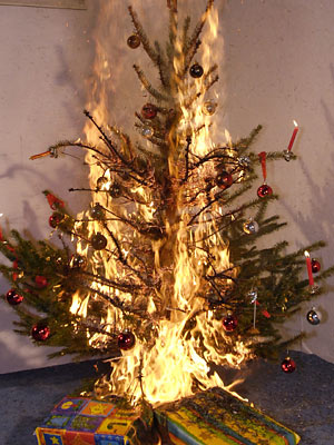 Rechte:dpa Christbaum Rechte:dpa
