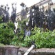 IMG_1782