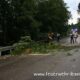 Baum auf Straße 22.08.2020